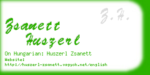 zsanett huszerl business card